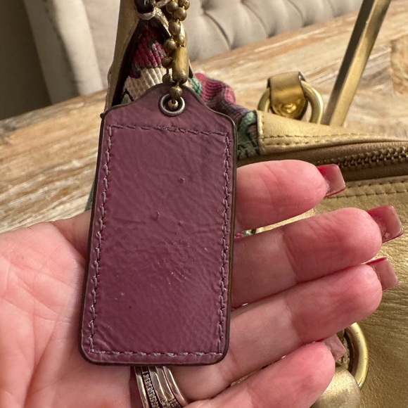 Coach Ashley - Picture 6 of 16